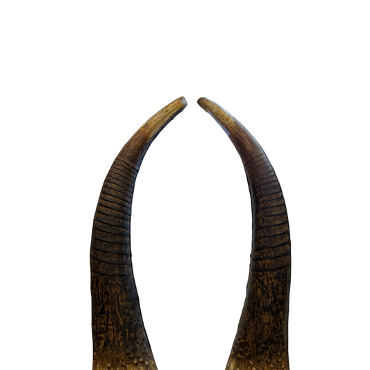 Corne en métal – Décorative