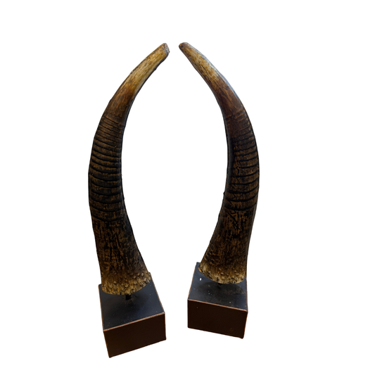 Corne en métal – Décorative