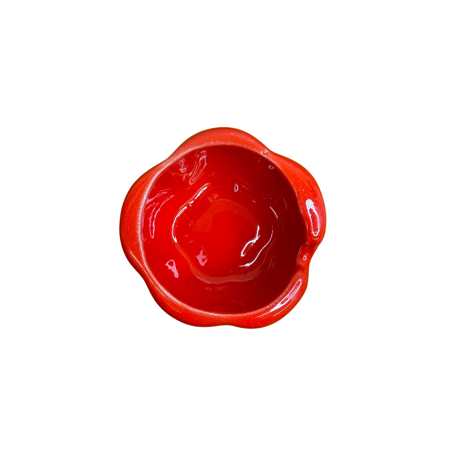 Petite tomate en barbotine