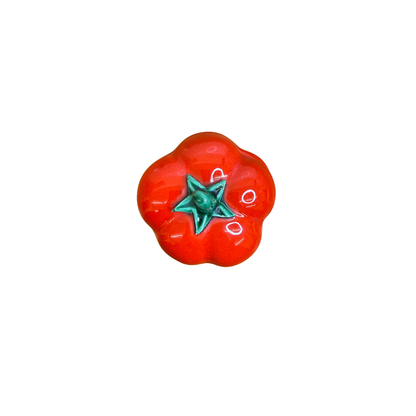 Petite tomate en barbotine